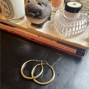 Chic Gold Hoop Earrings